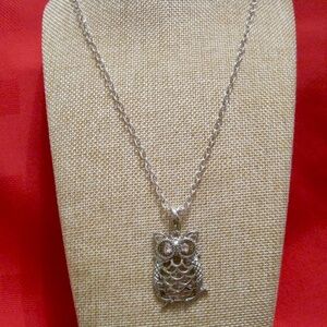 Owl Pendant and Chain Necklace in Silver Tone.
